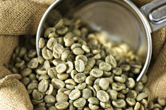 Café Especial Verde Bourbon Amarelo (83+ pontos | Peneira 15 Up)